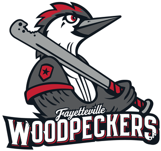 The logo of the Fayetteville Woodpeckers baseball team features a woodpecker holding a baseball bat with "Fayetteville Woodpeckers" written below, symbolizing their strong partnerships in the community.