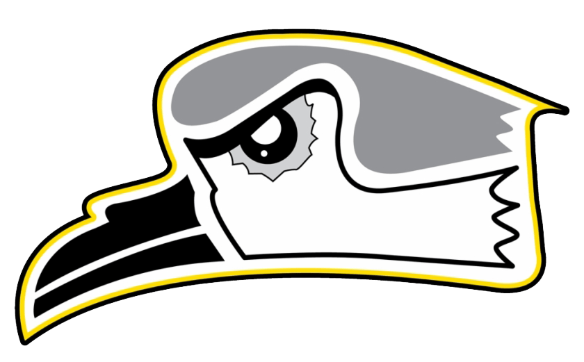 Graphic of a bird's head in profile with a stern expression, featuring black, white, and grey colors outlined in yellow, symbolizing our affiliations.